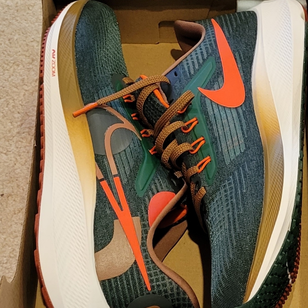 PEGASUS 39 A.I.R HOLA LOU